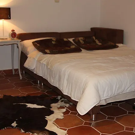 Apartment Priska *
