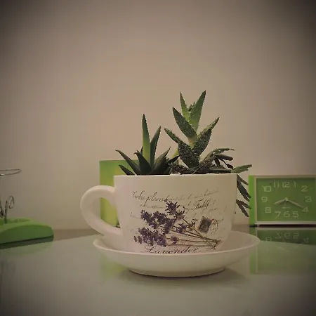 Priska Apartment